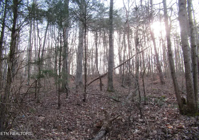 2nd image of Tomotley Rd, Maryville, TN 37801 | MLS# 1350709