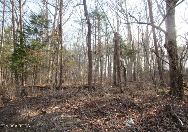 Photo 3 of Land for sale at Tomotley Rd, Maryville, TN 37801 | MLS# 1350709 | Listing updated on 2026-08-05