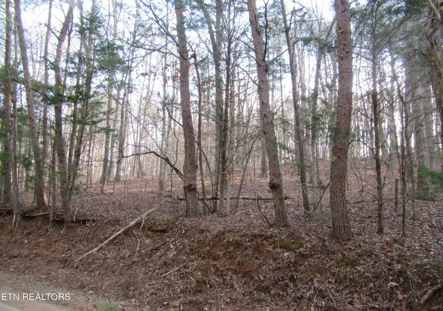 Photo 4 of Land for sale at Tomotley Rd, Maryville, TN 37801 | MLS# 1350709 | Listing updated on 2026-08-05