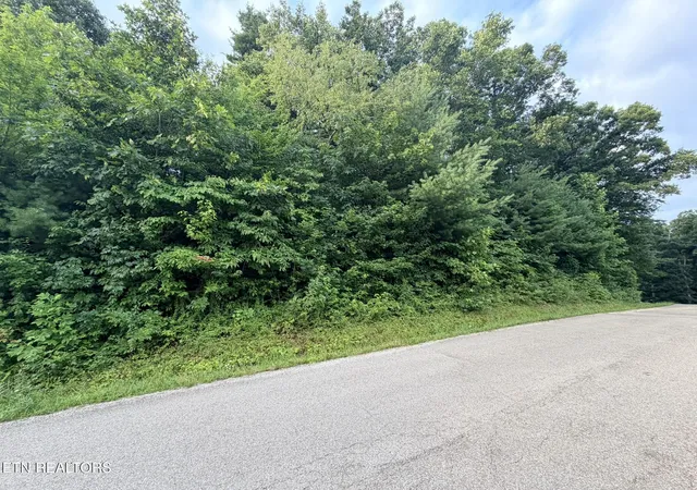 1st image of Lot 1 Evergreen Dr, Oneida, TN 37841 | MLS# 1310672