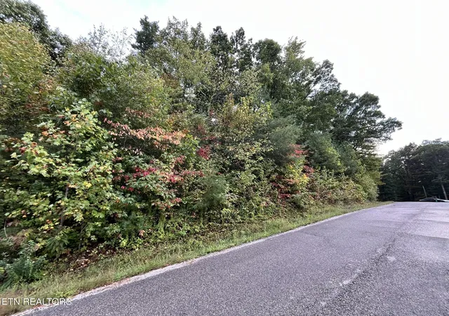 2nd image of Lot 1 Evergreen Dr, Oneida, TN 37841 | MLS# 1310672