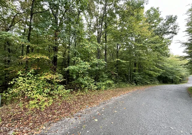 3rd image of Lot 1 Evergreen Dr, Oneida, TN 37841 | MLS# 1310672