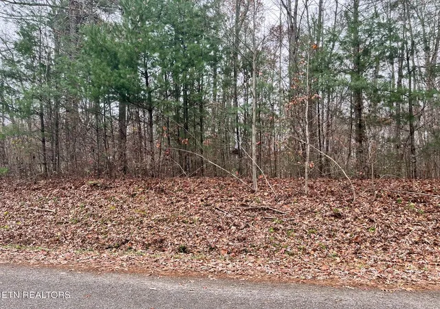 5th image of Lot 1 Evergreen Dr, Oneida, TN 37841 | MLS# 1310672