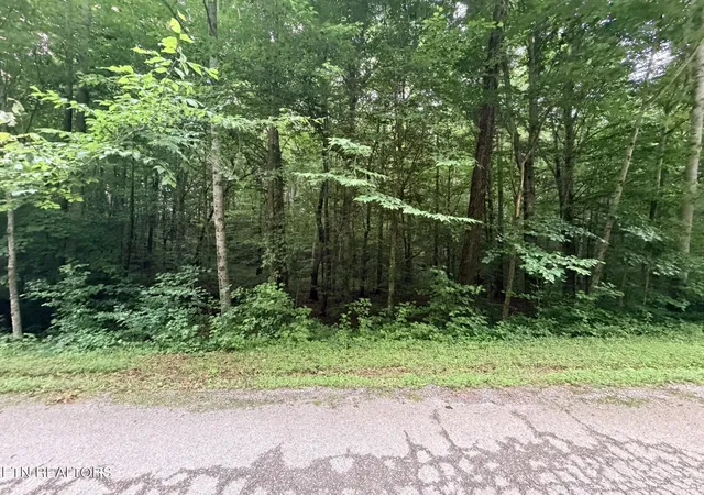 3rd image of Lot 2 Evergreen Dr, Oneida, TN 37841 | MLS# 1310678
