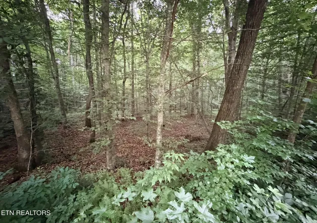 4th image of Lot 2 Evergreen Dr, Oneida, TN 37841 | MLS# 1310678