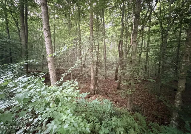 5th image of Lot 2 Evergreen Dr, Oneida, TN 37841 | MLS# 1310678