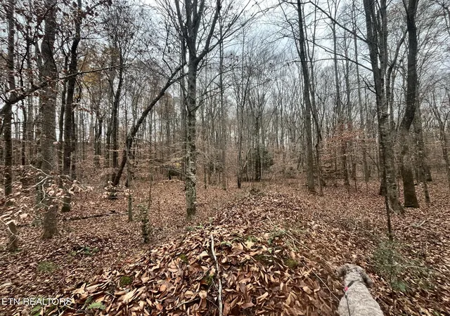 6th image of Lot 2 Evergreen Dr, Oneida, TN 37841 | MLS# 1310678