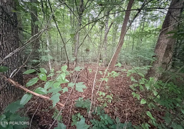 3rd image of Lot 3 Evergreen Dr, Oneida, TN 37841 | MLS# 1310679