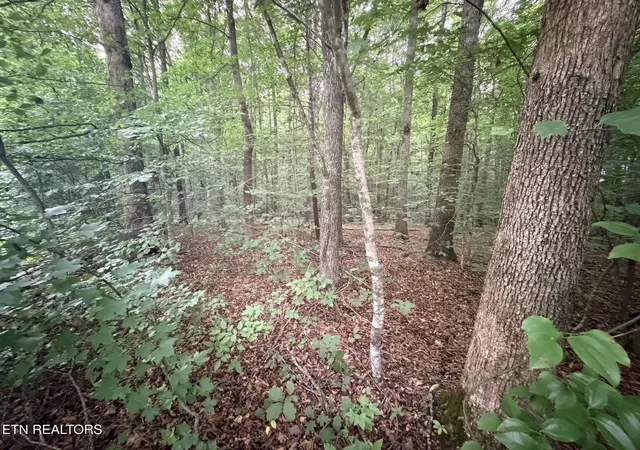 4th image of Lot 3 Evergreen Dr, Oneida, TN 37841 | MLS# 1310679