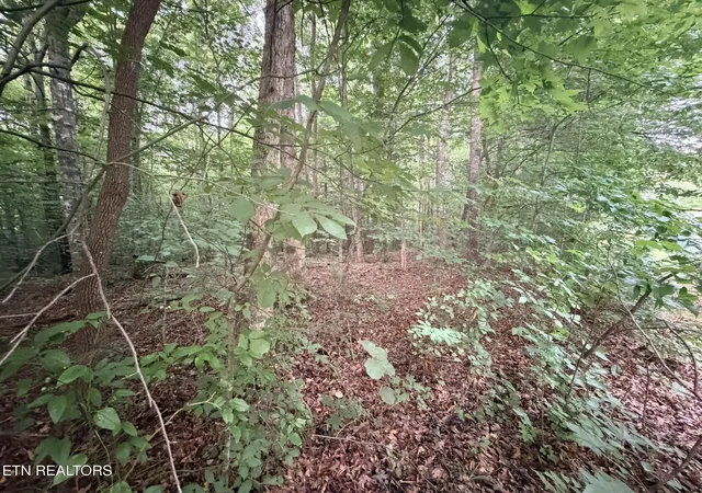 5th image of Lot 3 Evergreen Dr, Oneida, TN 37841 | MLS# 1310679