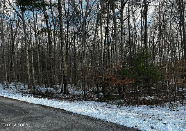 6th image of Lot 3 Evergreen Dr, Oneida, TN 37841 | MLS# 1310679