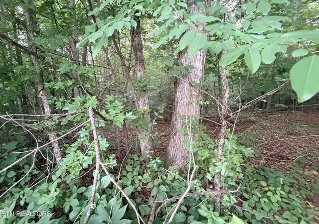 2nd image of Lot 4 Evergreen Dr, Oneida, TN 37841 | MLS# 1310682