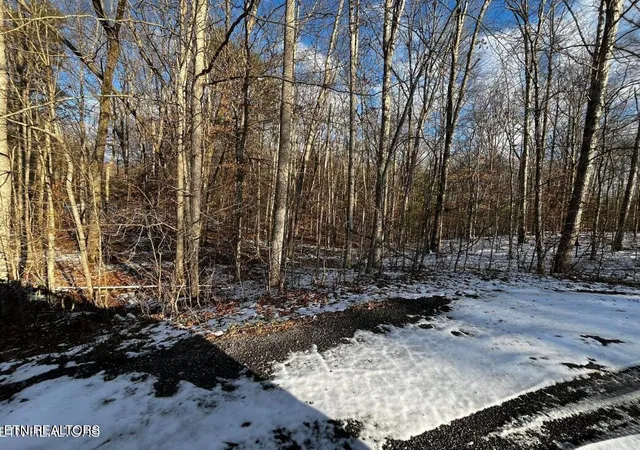 4th image of Lot 4 Evergreen Dr, Oneida, TN 37841 | MLS# 1310682