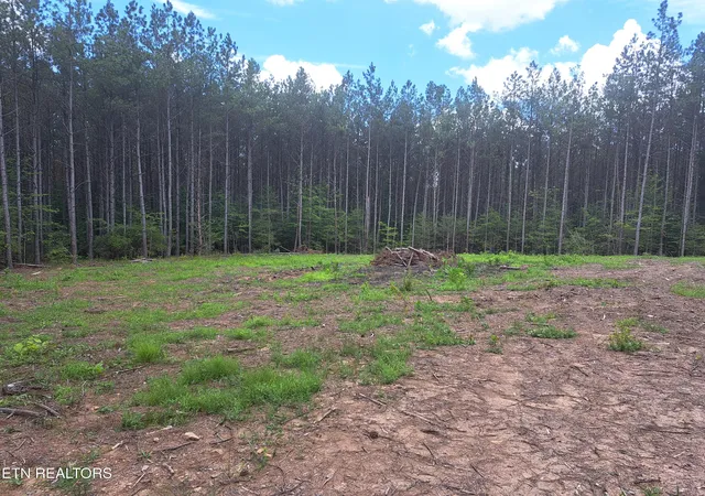 1st image of 152 Sunset View Lane, Rockwood, TN 37854 | MLS# 1332476