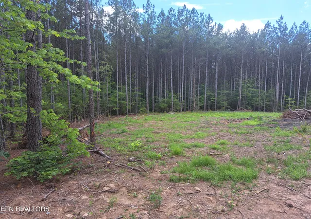 4th image of 152 Sunset View Lane, Rockwood, TN 37854 | MLS# 1332476