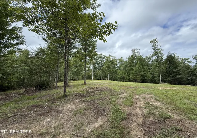 2nd image of Clifty Creek Rd, Winfield, TN 37892 | MLS# 1334988