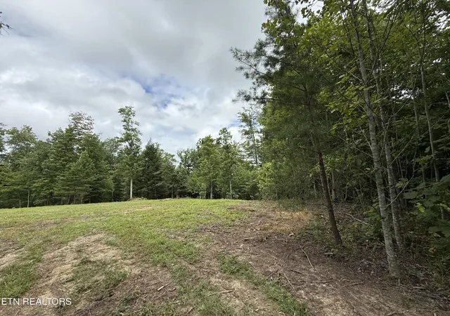 3rd image of Clifty Creek Rd, Winfield, TN 37892 | MLS# 1334988