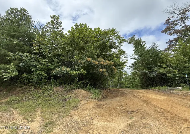 4th image of Clifty Creek Rd, Winfield, TN 37892 | MLS# 1334988