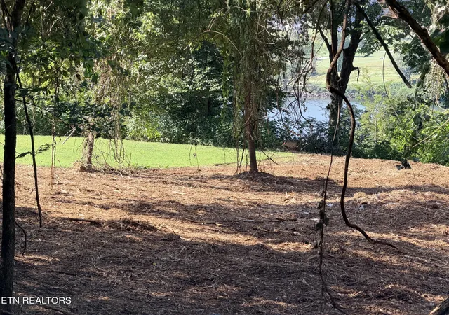 Land for sale at 171 Cedar Grv St, Loudon, TN 37774 | MLS# 1336039