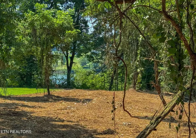 Photo 3 of Land for sale at 171 Cedar Grv St, Loudon, TN 37774 | MLS# 1336039 | Listing updated on 2026-10-08