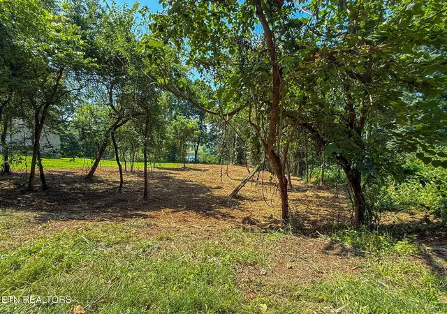 Photo 4 of Land for sale at 171 Cedar Grv St, Loudon, TN 37774 | MLS# 1336039 | Listing updated on 2026-10-08