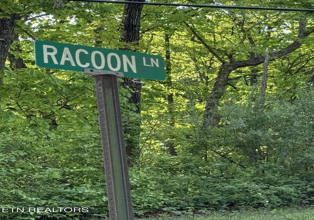Photo 3 of Land for sale at Racoon Ln #79, Pioneer, TN 37847 | MLS# 1337169 | Listing updated on 2026-08-07