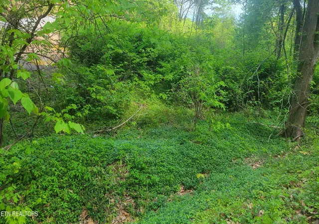 3rd image of 0 Arbon Dr #66, Gatlinburg, TN 37738 | MLS# 1340270