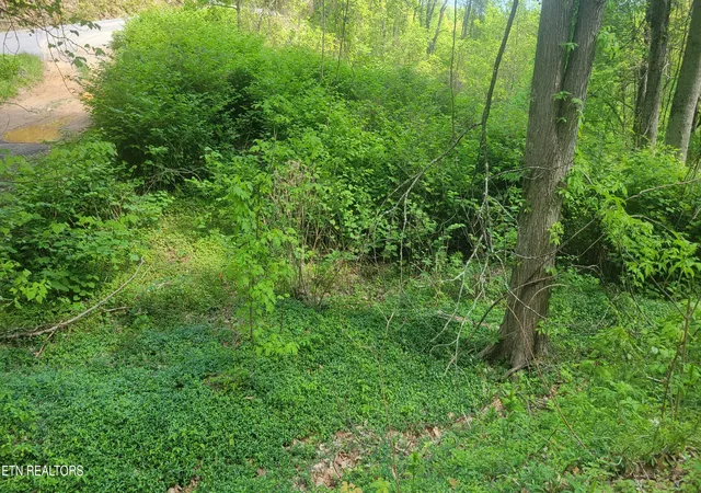 4th image of 0 Arbon Dr #66, Gatlinburg, TN 37738 | MLS# 1340270
