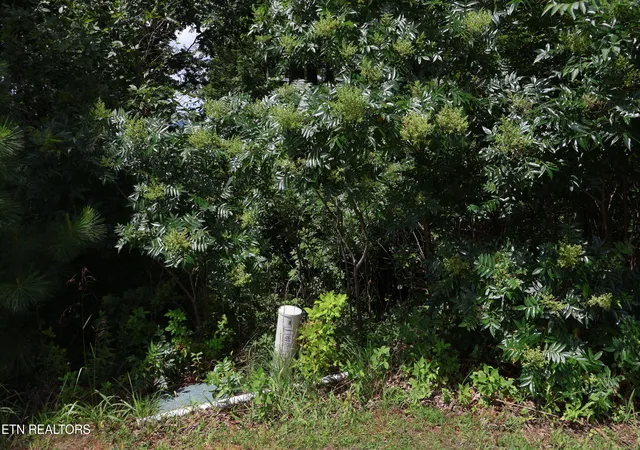 Photo 3 of Land for sale at 161 Highland Reserve Way, Kingston, TN 37763 | MLS# 1341604 | Listing updated on 2026-07-16