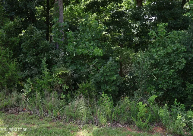 Photo 4 of Land for sale at 161 Highland Reserve Way, Kingston, TN 37763 | MLS# 1341604 | Listing updated on 2026-07-16