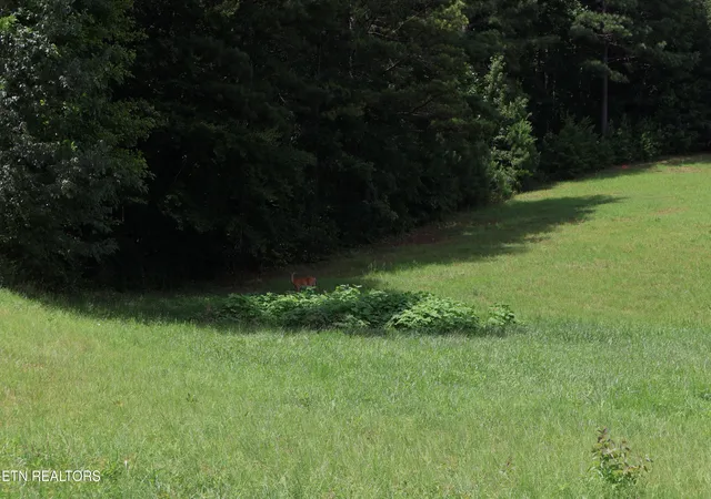 Photo 3 of Land for sale at 331 Enclave Way, Kingston, TN 37763 | MLS# 1341616 | Listing updated on 2026-07-16