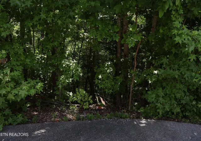 Photo 3 of Land for sale at 527 Enclave Way, Kingston, TN 37763 | MLS# 1341614 | Listing updated on 2026-07-16