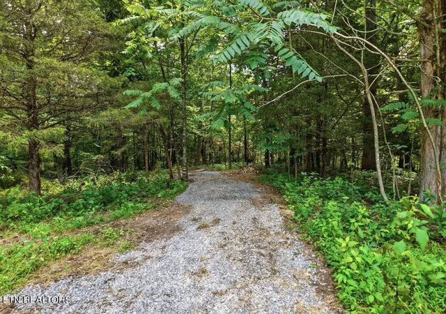 14th image of 0 Freewill Ridge Rd, Gainesboro, TN 38562 | MLS# 1350593