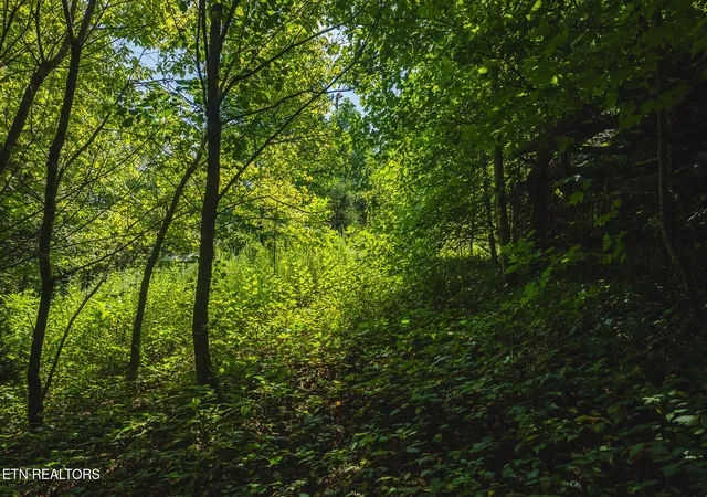 Photo 25 of Land for sale at 2595 Highway 31, Mooresburg, TN 37811 | MLS# 1344093 | Listing updated on 2026-08-20