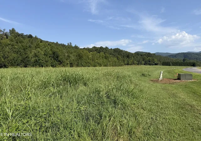 Photo 3 of Land for sale at Lot 147 River Rapids Way, Del Rio, TN 37727 | MLS# 1344741 | Listing updated on 2026-10-07