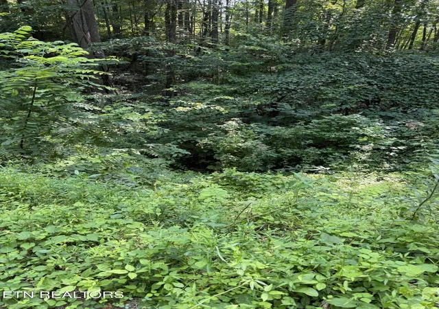 Photo 1 of Land for sale at Lot 56 Butternut Ln, Sevierville, TN 37876 | MLS# 1345131 | Listing updated on 2026-10-20