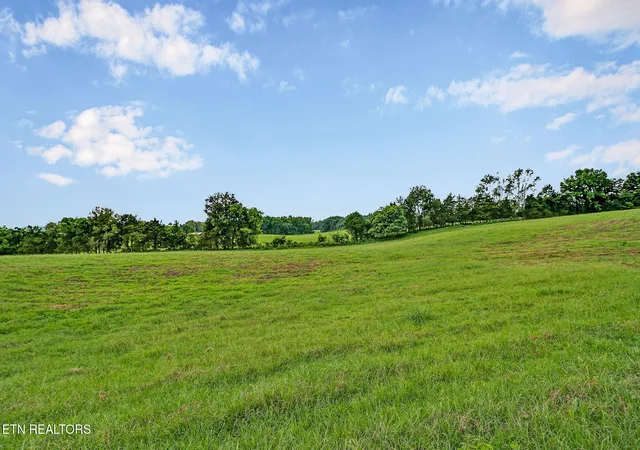 Photo 3 of Land for sale at Tbd Collier Ln, Rock Island, TN 38581 | MLS# 1347514 | Listing updated on 2026-09-26
