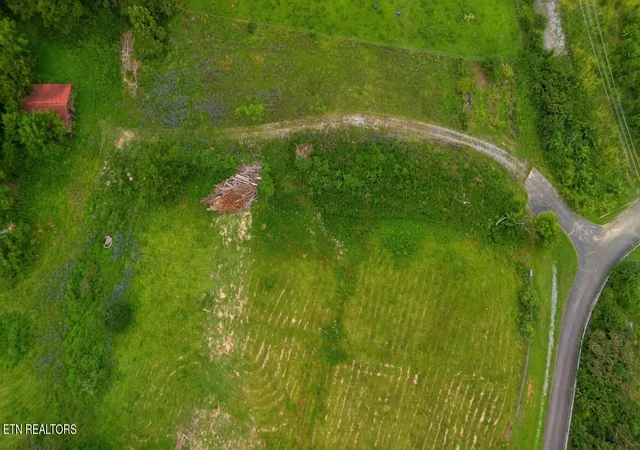60th image of 00 Old Greeneville Hwy, Parrottsville, TN 37843 | MLS# 1346970