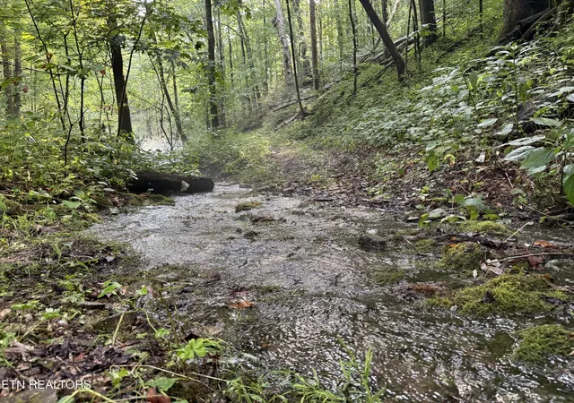 4th image of Lonesome Valley Rd, New Tazewell, TN 37825 | MLS# 1346419