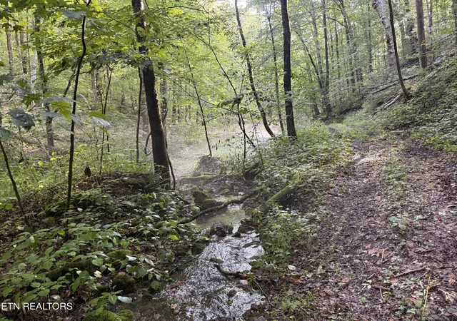 5th image of Lonesome Valley Rd, New Tazewell, TN 37825 | MLS# 1346419