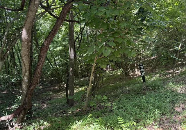 Photo 3 of Land for sale at Lot 177 Moonstone Ln, New Tazewell, TN 37825 | MLS# 1347249 | Listing updated on 2026-07-17