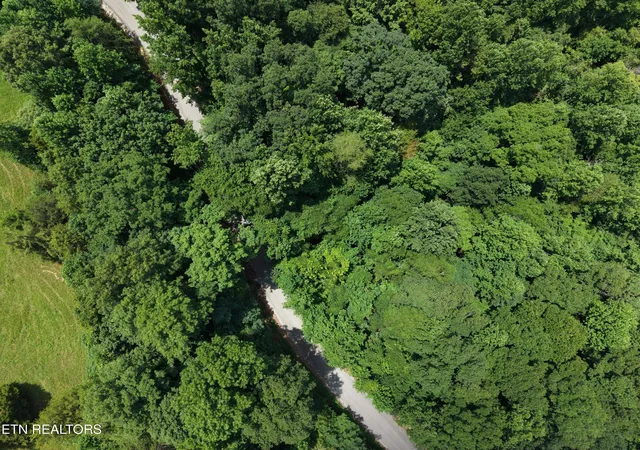 Photo 4 of Land for sale at Lot 177 Moonstone Ln, New Tazewell, TN 37825 | MLS# 1347249 | Listing updated on 2026-07-17