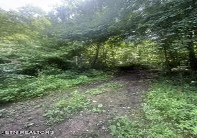 1st image of Ailor Dr Off Dr, Maynardville, TN 37807 | MLS# 1349640