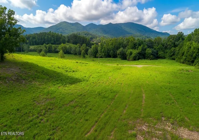 5th image of 00 Rhyne Camp Rd, Newport, TN 37821 | MLS# 1346968