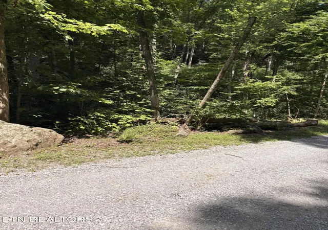 Photo 4 of Land for sale at Reagan Springs Rd, Seymour, TN 37865 | MLS# 1348161 | Listing updated on 2026-07-19