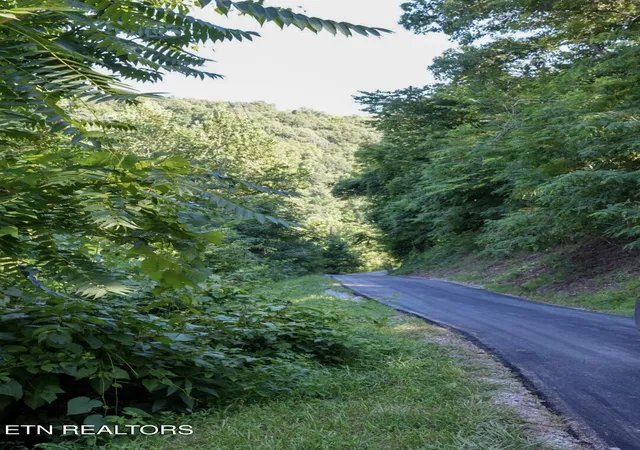 3rd image of 1688 Goodwater Rd, Bybee, TN 37713 | MLS# 1348872