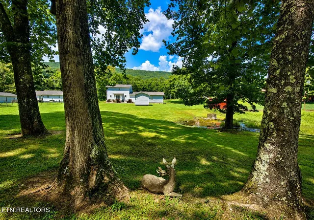 4th image of 2042 Dutch Valley Rd, Clinton, TN 37716 | MLS# 1348210