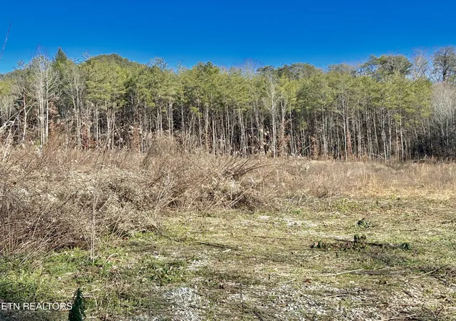 Photo 1 of Land for sale at 504 Wiggins Rd, Tellico Plains, TN 37385 | MLS# 1347932 | Listing updated on 2026-07-16