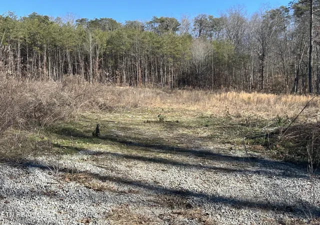 Photo 2 of Land for sale at 504 Wiggins Rd, Tellico Plains, TN 37385 | MLS# 1347932 | Listing updated on 2026-07-16