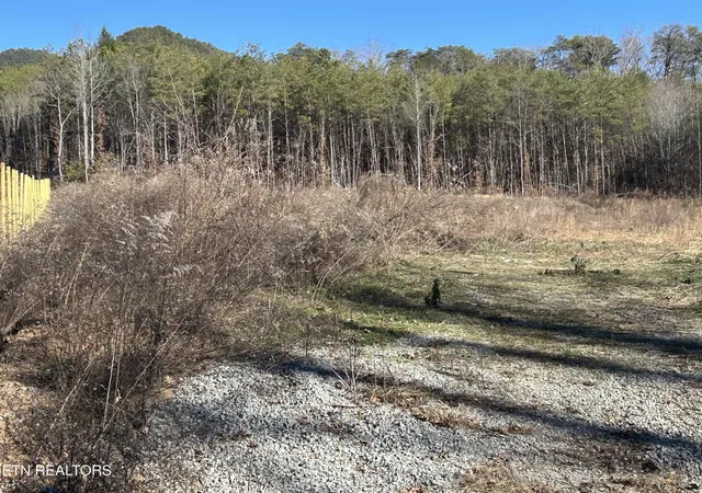 Photo 3 of Land for sale at 504 Wiggins Rd, Tellico Plains, TN 37385 | MLS# 1347932 | Listing updated on 2026-07-16